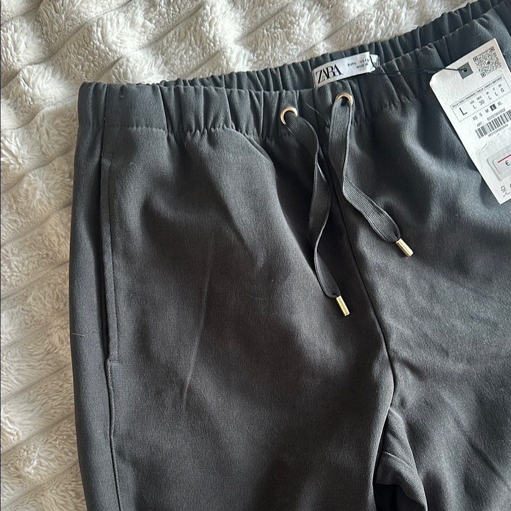 Zara Gray  Pants